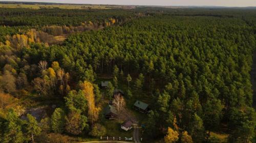 Susiec Casa | Domki Nad Tanwią