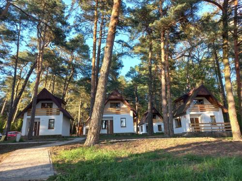 Małogoszcz Complejo | Domki nad Wierną Rzeką