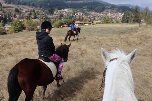 Koprivshtitsa Casa | Dona Guest House - Horse Riding