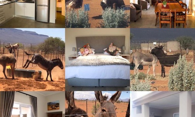 Calvinia Casa | Donkieshoek Accommodation & Campsite, Calvinia