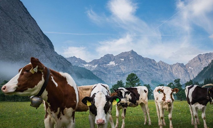 Eng Alm Cabina | Doppelzimmer - Angerer Hütte - Almdorf Eng Alm