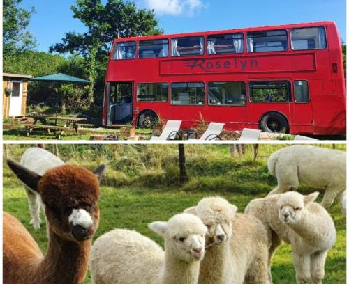 Liverton Casa | Double Decker Bus on an Alpaca farm sleeps 8, 5 mins drive to Dartmoor