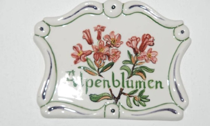 Vorderstoder Otro | Habitación doble "Alpenblumen" con baño, WC - Baby- y Kinderbauernhof Zamsegg