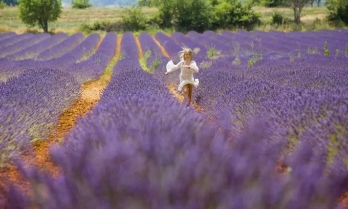 Vidauban Casa | Douce Provence, Côte D'azur
