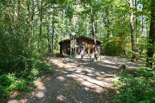 Grandham Chalet De Esquí | Douglas