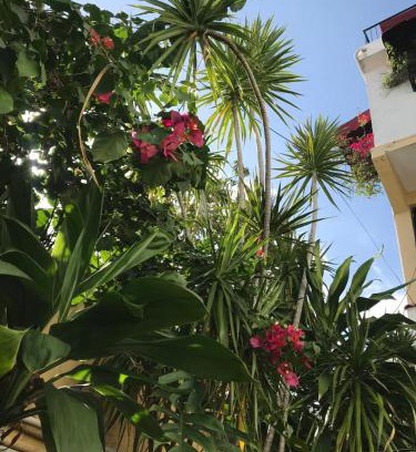 Gascue Apartamento | Downton Inn