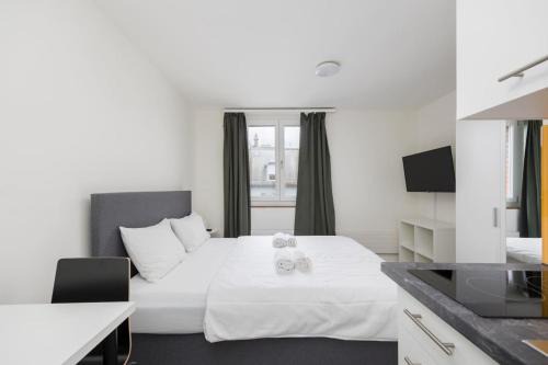 Sihlfeld Apartamento | Downtown Deluxe Studio with Queen Bed BE-55