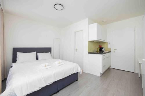 Sihlfeld Apartamento | Downtown Deluxe Studio with Queen Bed BE-35