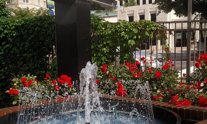 Downtown Asheville Hotel | Downtown Inn and Suites