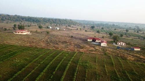 Pandharkawada Cabina | Dr Bones jungle home Tipeshwar wildlife sanctuary