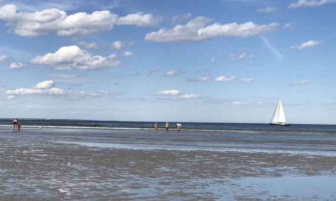 Ogunquit Cama Y Desayuno | Dragonfly Guest House
