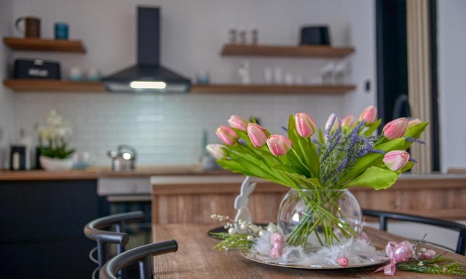 Vrsac Apartamento | Dream Apartment Vršac