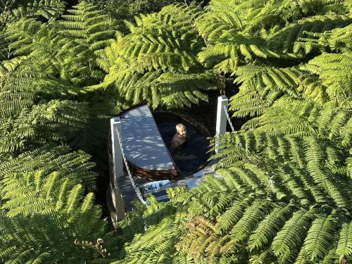 East Ballina Apartamento | DRIFTWOOD- Hidden Gem, great view in a nature setting