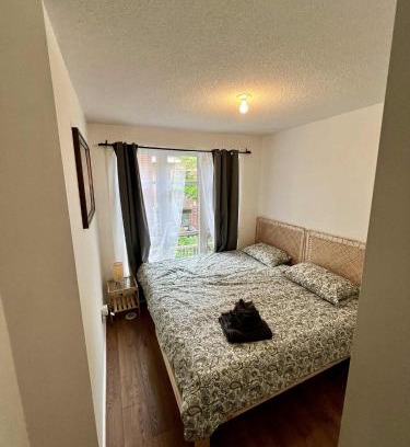 Junction Triangle Casa | DT Townhome 1BR steps to transit