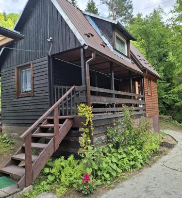 Polany Casa | Duży drewniany domek nad rzeką, Obidza 381, Łącko