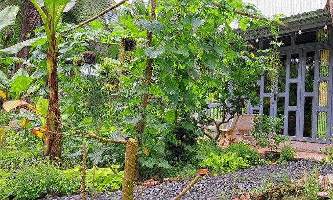 Giong Trom Casa | Duplex Cabin in farm stay - authentic experience of Mekong delta