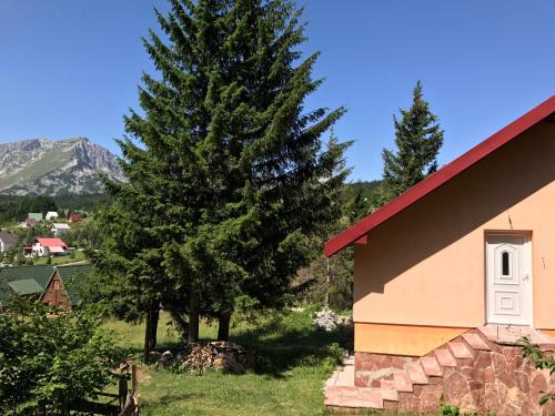 Razvrsje Apartamento | Durmitor Apartments Holiday