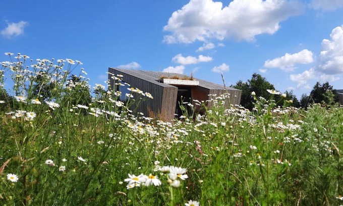 Westergeest Casa | Duurzaam Tinyhouse aan het water in Friesland
