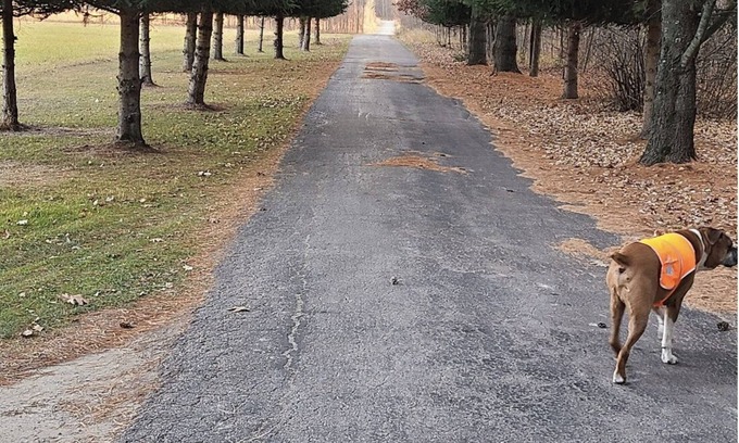 Fremont Casa | EAA home for rent Secluded Country Home 23 miles from EAA