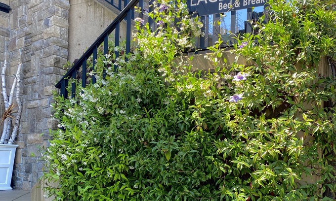 Chemainus Cama Y Desayuno | Eagle Rock Bed and Breakfast