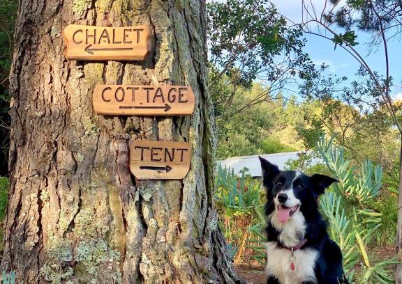 Wilderness Casa | Eagles' Call Cottages and Tent