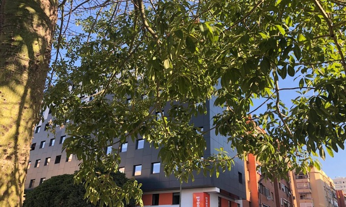 Explanada de la Estación Casa | easyHotel Málaga City Centre