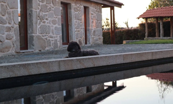 Gondarem Cabaña | Eaves House