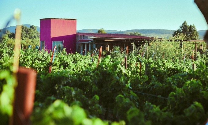 Valle de Guadalupe Cabaña | Ecléctico Guadalupe