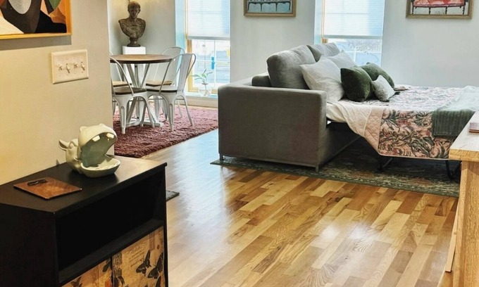 La Crosse Apartamento | Eclectic Unique Cozy 1-bedroom apartment with WiFi, AC in charming La Crosse