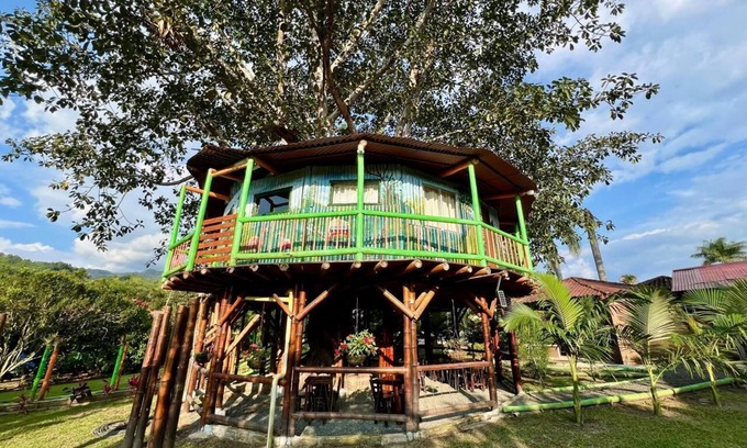 Pereira Cabina | Eco Cabañas Green Eden