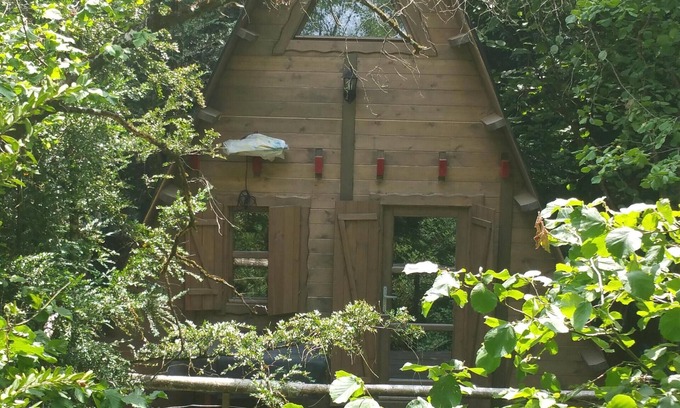 Saint-Sauveur-sur-Tinee Chalet De Esquí | Green Cabin en las montañas 1 hora de Niza