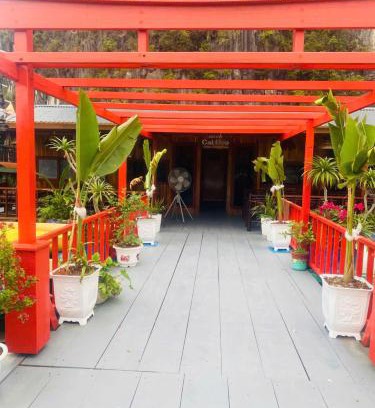 Cat Hai Casa | Eco Floating Stay Cai Beo