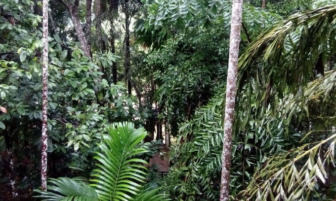 Embilipitiya Casa | VILLA ECO FOREST - UNA CASA DE FAMILIA CON BELLEZA NATURAL