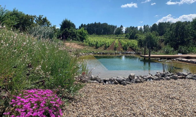 Rosieres Cabaña | CONFORT DE CAMPO CON PISCINA NATURAL ECOLOGICA EN MEDIO DE LAS VIDES