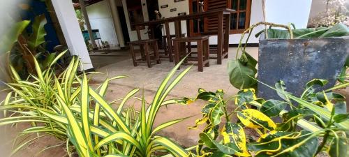 Udawalawa Casa | Eco home stay and safari