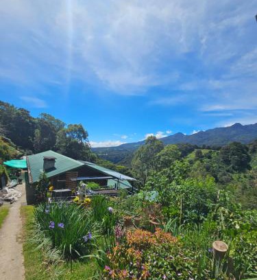 Los Naranjos Cama Y Desayuno | Eco Horqueta