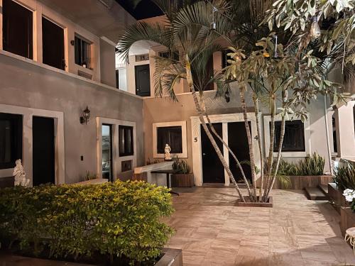 Centro histórico de Mazatlán Hotel | Eco-Hotel Black Tree