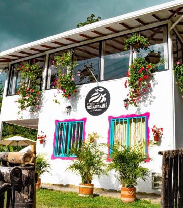 Salento Hotel | eco hotel finca los naranjos
