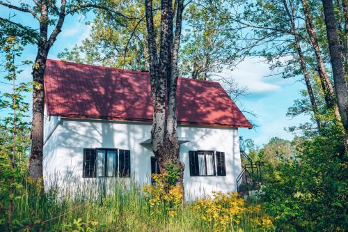 Savnik Casa | Eco House Nevidio
