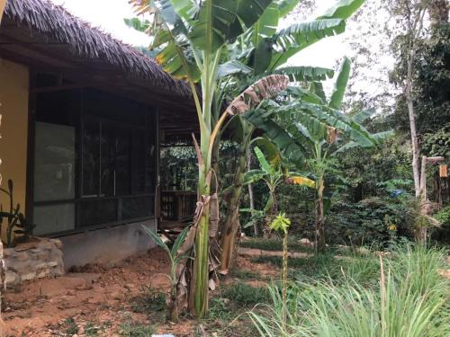 Cua Can Village Cabina | Eco Lagoon Countryside Art Retreat
