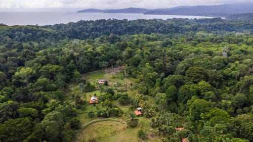 Bahía Drake Casa | Eco Lodge&Farm Rustic Roots Reserve