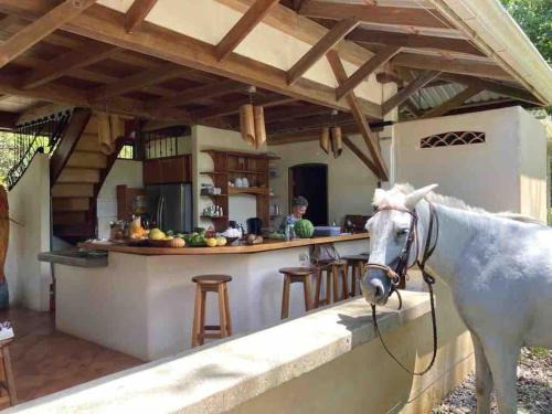 Puerto Jiménez Casa | Eco Lodge near Corcovado, 400m to Beach on a Peaceful Private Reserve