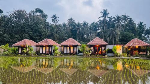 Tegallalang Cama Y Desayuno | Eco Oasis Wooden Villa Ubud