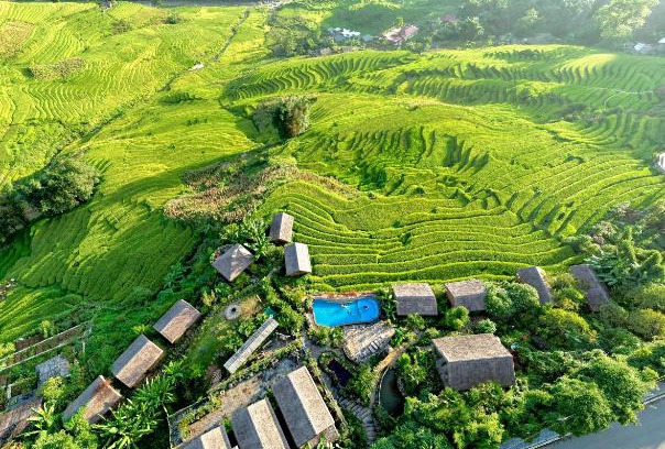 Sa Pa Complejo | Eco Palms House - Sapa Retreat
