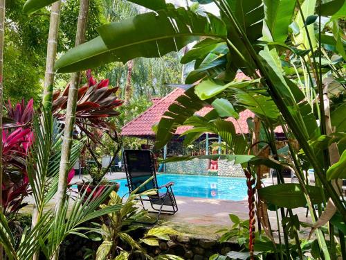 Portalon Cama Y Desayuno | Eco Zaru, Experience Authentic Costa Rican Jungle & Ocean Bliss