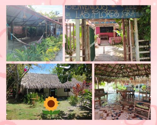 Rosario Islands Cabina | ECOHOTEL LAS FLORES Econativo