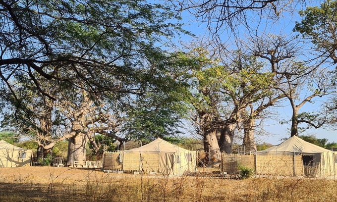 Mbodiene Otro | Ecolodge BAKSUNGAN