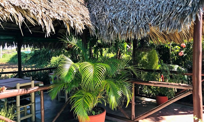 Vinales Cama Y Desayuno | Ecological Farm William y Cary