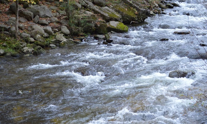 Gatlinburg Hotel | Econo Lodge Inn & Suites On The River