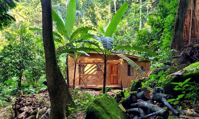 Mammee Bay Cabaña | Ecoscape Jamaica Tulia - 1 Bedroom Private Cottage with King Bed